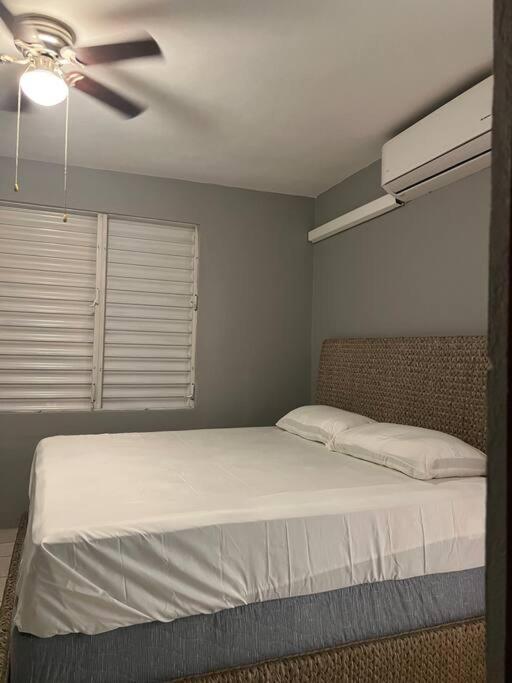 Mayaguez Spacious 3 Bedroom Villa 外观 照片